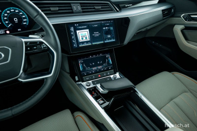 Audi Q8 e-tron Gebrauchtwagen