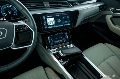 Audi Q8 e-tron Gebrauchtwagen