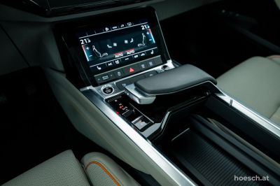 Audi Q8 e-tron Gebrauchtwagen