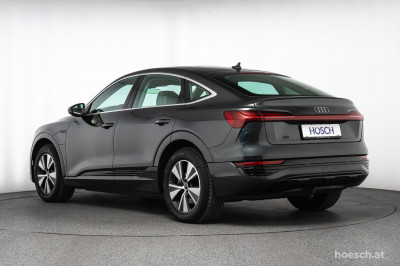 Audi Q8 e-tron Gebrauchtwagen