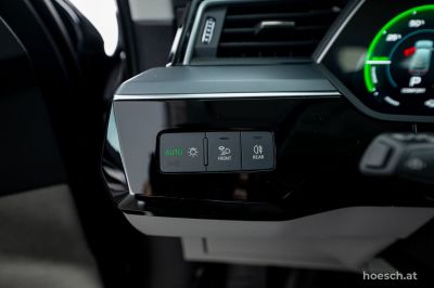 Audi Q8 e-tron Gebrauchtwagen
