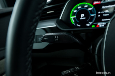 Audi Q8 e-tron Gebrauchtwagen