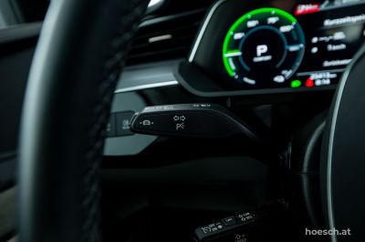 Audi Q8 e-tron Gebrauchtwagen