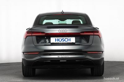 Audi Q8 e-tron Gebrauchtwagen