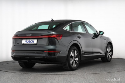 Audi Q8 e-tron Gebrauchtwagen