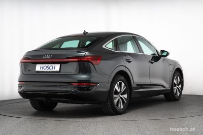 Audi Q8 e-tron Gebrauchtwagen