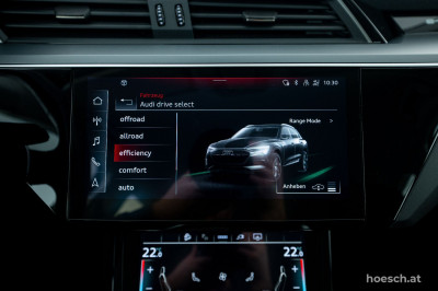Audi e-tron Gebrauchtwagen