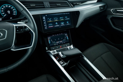 Audi e-tron Gebrauchtwagen
