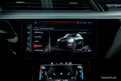 Audi e-tron Gebrauchtwagen