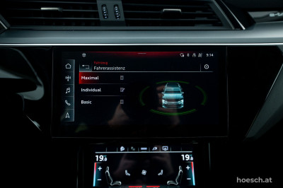 Audi e-tron Gebrauchtwagen