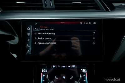 Audi e-tron Gebrauchtwagen