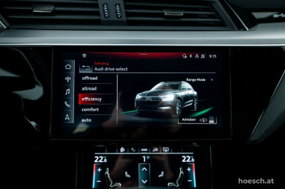 Audi e-tron Gebrauchtwagen
