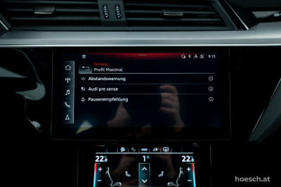 Audi e-tron Gebrauchtwagen