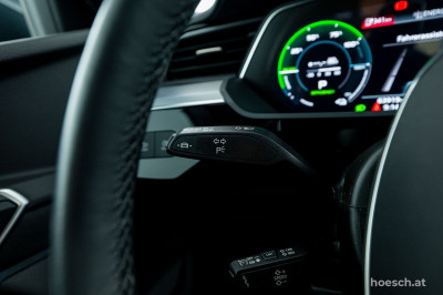Audi e-tron Gebrauchtwagen