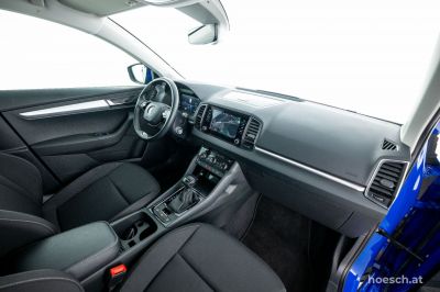 Skoda Karoq Gebrauchtwagen