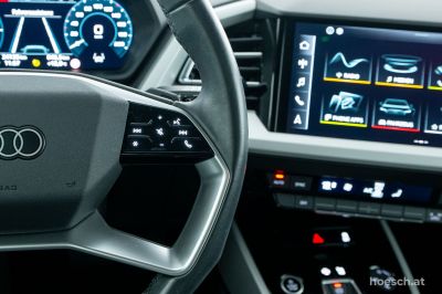 Audi Q4 e-tron Gebrauchtwagen