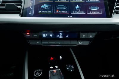 Audi Q4 e-tron Gebrauchtwagen