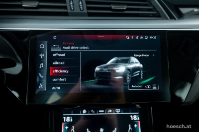 Audi e-tron Gebrauchtwagen