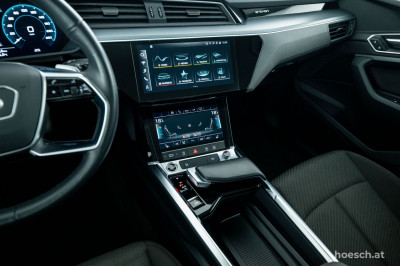 Audi e-tron Gebrauchtwagen