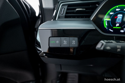 Audi e-tron Gebrauchtwagen
