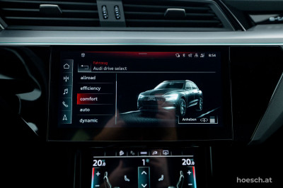 Audi e-tron Gebrauchtwagen