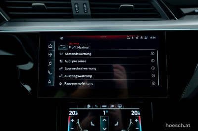 Audi e-tron Gebrauchtwagen