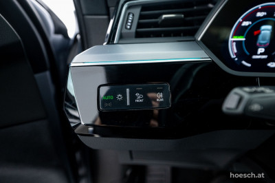 Audi e-tron Gebrauchtwagen