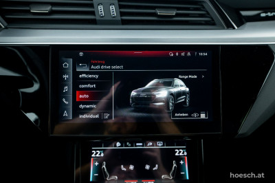 Audi e-tron Gebrauchtwagen