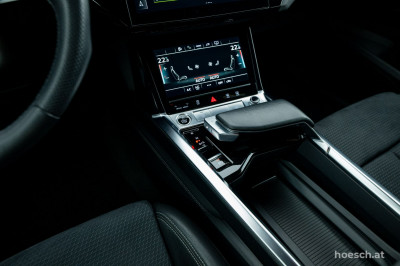 Audi e-tron Gebrauchtwagen