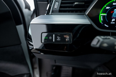 Audi e-tron Gebrauchtwagen