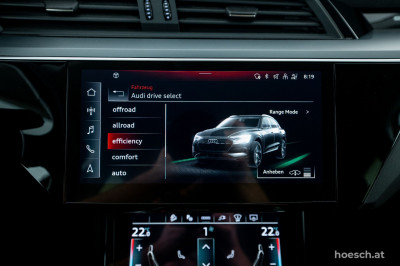 Audi e-tron Gebrauchtwagen