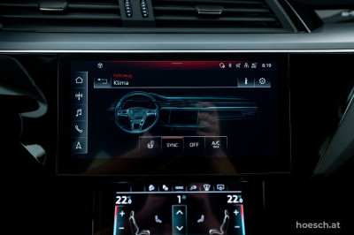Audi e-tron Gebrauchtwagen