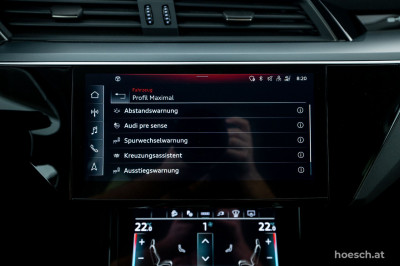 Audi e-tron Gebrauchtwagen