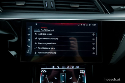 Audi e-tron Gebrauchtwagen