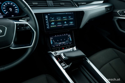 Audi e-tron Gebrauchtwagen