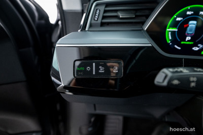Audi e-tron Gebrauchtwagen