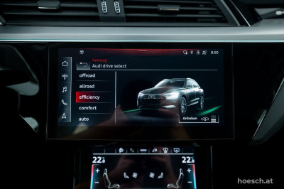 Audi e-tron Gebrauchtwagen
