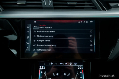 Audi e-tron Gebrauchtwagen