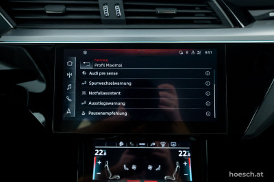 Audi e-tron Gebrauchtwagen
