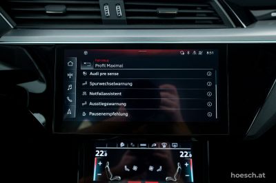 Audi e-tron Gebrauchtwagen Audi e-tron Gebrauchtwagen