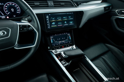 Audi e-tron Gebrauchtwagen