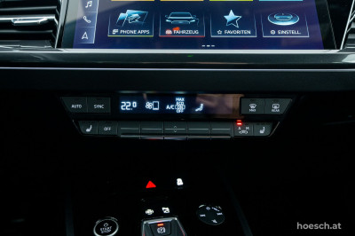 Audi Q4 e-tron Gebrauchtwagen