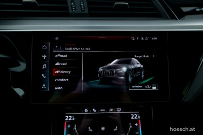 Audi e-tron Gebrauchtwagen