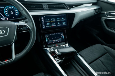 Audi e-tron Gebrauchtwagen