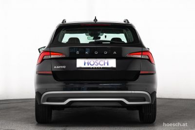 Skoda Kamiq Gebrauchtwagen Skoda Kamiq Gebrauchtwagen