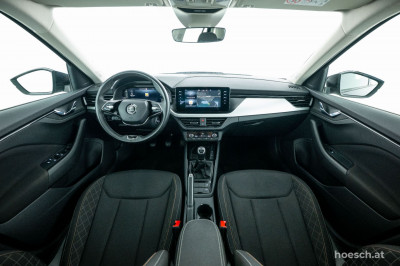 Skoda Kamiq Gebrauchtwagen