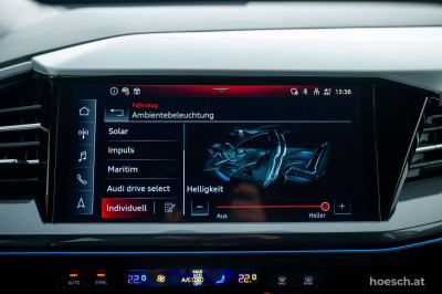 Audi Q4 e-tron Gebrauchtwagen