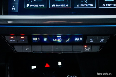 Audi Q4 e-tron Gebrauchtwagen