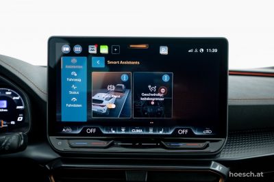 Cupra Formentor Gebrauchtwagen Cupra Formentor Gebrauchtwagen