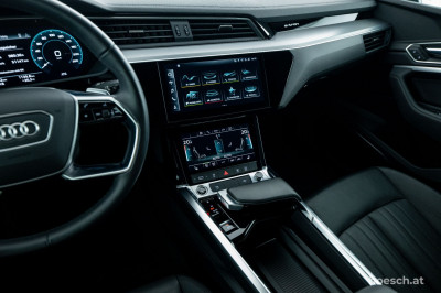 Audi e-tron Gebrauchtwagen